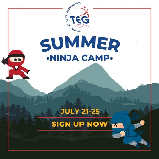 Summer Camps at Tennessee Elite Gymnastics!